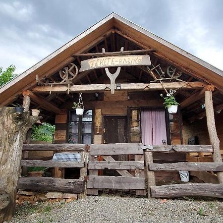 Casa Rustic Feher & Fekete Vendeghazak Совата Екстериор снимка